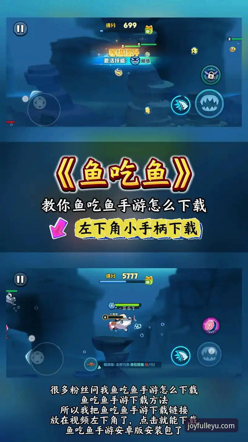 如何通过乐鱼怎么样攻略开启专业娱乐新体验？